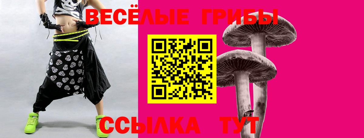 Псилоцибиновые грибы ЛСД  Вход с VPN  где найти   Ливны 